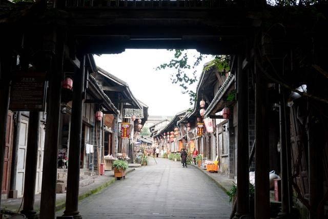 【组图】贵州贵安:梅花绽放俏寒冬
